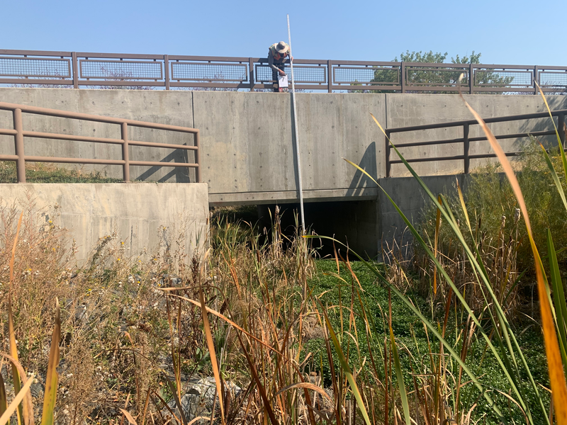 Site Photo 7